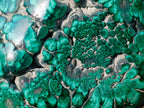Polished Large Flower Banded Malachite Free Form x 1 From Congo - Toprock Gemstones and Minerals 