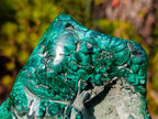 Polished Large Flower Banded Malachite Free Form x 1 From Congo - Toprock Gemstones and Minerals 