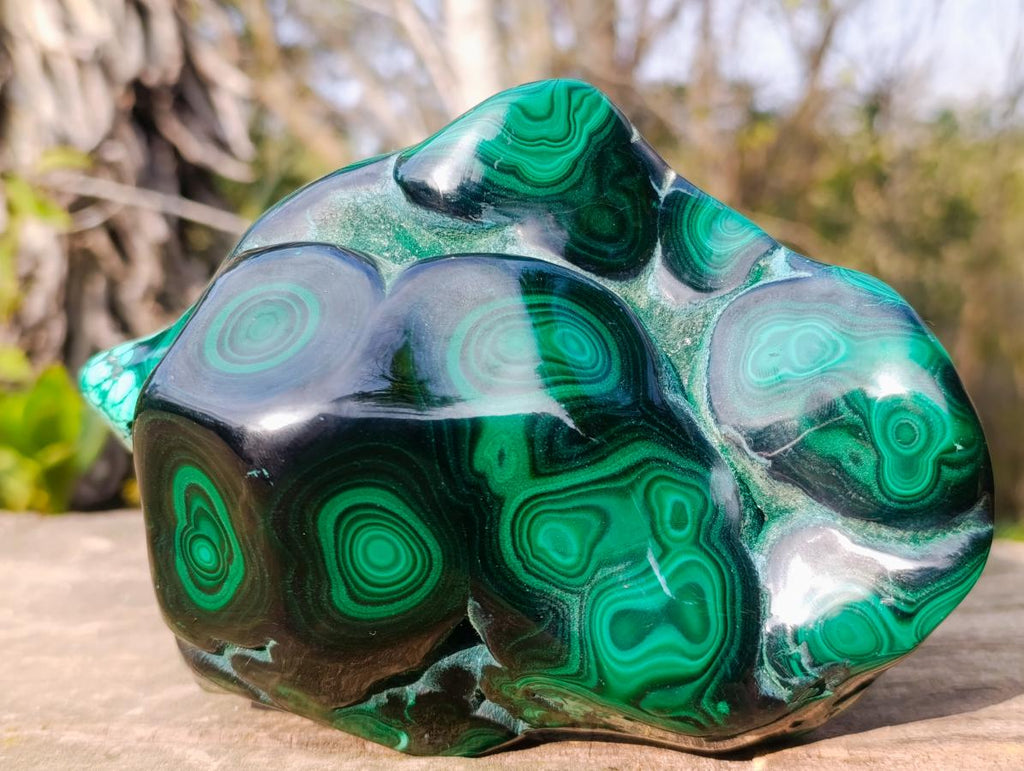 Polished Large Flower Banded Malachite Free Form x 1 From Congo - Toprock Gemstones and Minerals 