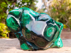 Polished Large Flower Banded Malachite Free Form x 1 From Congo - Toprock Gemstones and Minerals 