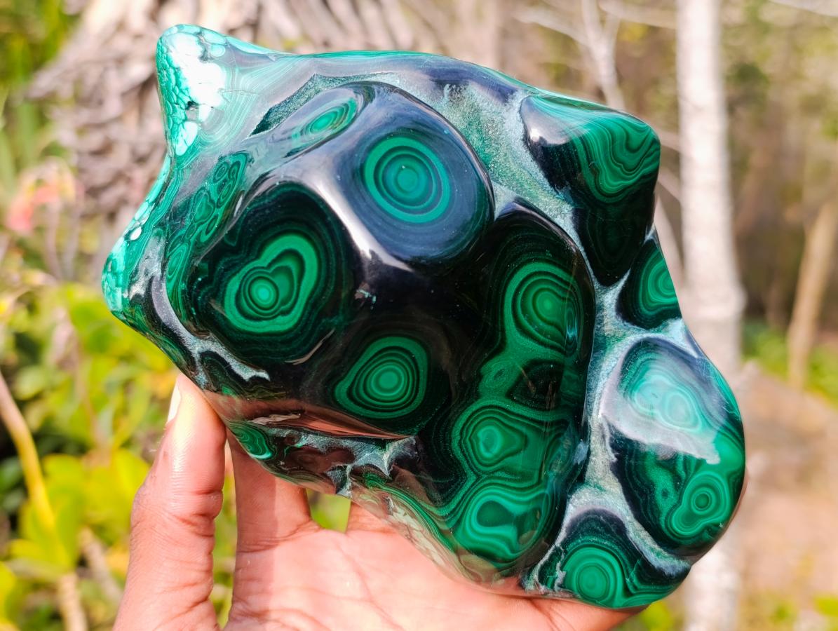Polished Large Flower Banded Malachite Free Form x 1 From Congo - Toprock Gemstones and Minerals 