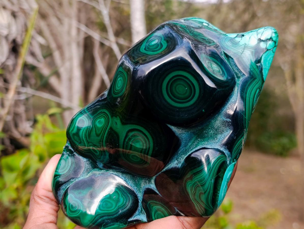 Polished Large Flower Banded Malachite Free Form x 1 From Congo - Toprock Gemstones and Minerals 