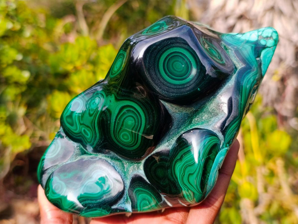 Polished Large Flower Banded Malachite Free Form x 1 From Congo - Toprock Gemstones and Minerals 