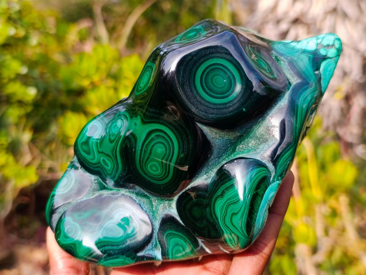 Polished Large Flower Banded Malachite Free Form x 1 From Congo - Toprock Gemstones and Minerals 