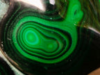 Polished Large Flower Banded Malachite Free Form x 1 From Congo - Toprock Gemstones and Minerals 