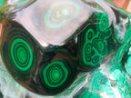Polished Large Flower Banded Malachite Free Form x 1 From Congo - Toprock Gemstones and Minerals 