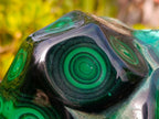 Polished Large Flower Banded Malachite Free Form x 1 From Congo - Toprock Gemstones and Minerals 