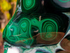 Polished Large Flower Banded Malachite Free Form x 1 From Congo - Toprock Gemstones and Minerals 