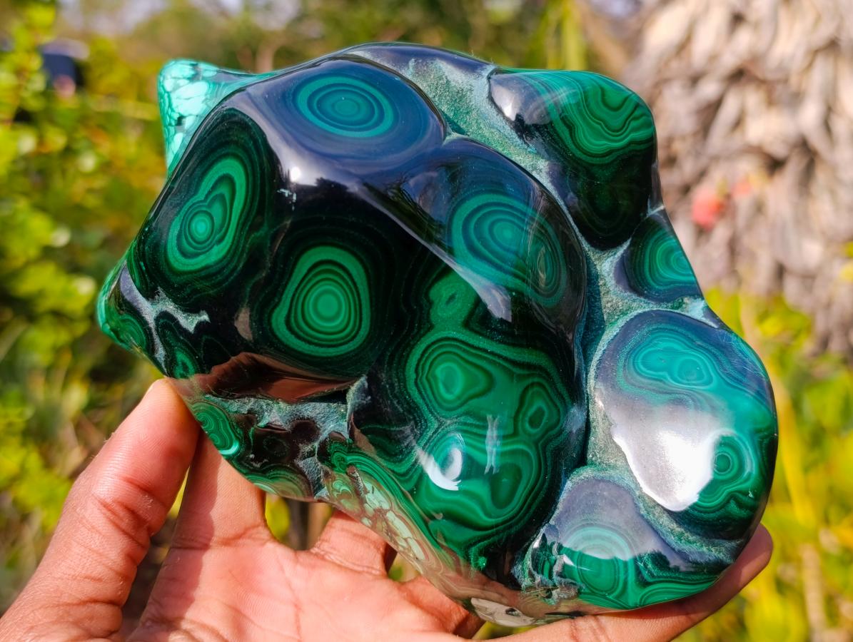Polished Large Flower Banded Malachite Free Form x 1 From Congo - Toprock Gemstones and Minerals 