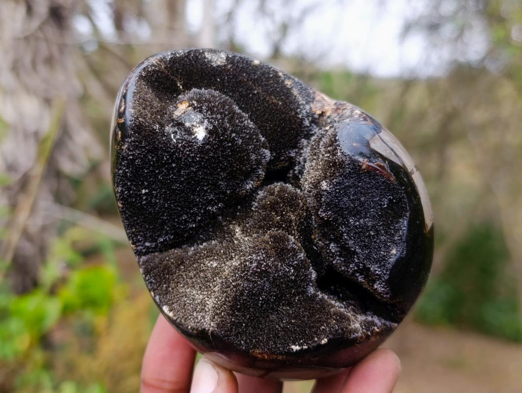Polished Septerye Sauvage "Dragons Egg" Geodes x 2 From Mahajanga, Madagascar - Toprock Gemstones and Minerals 