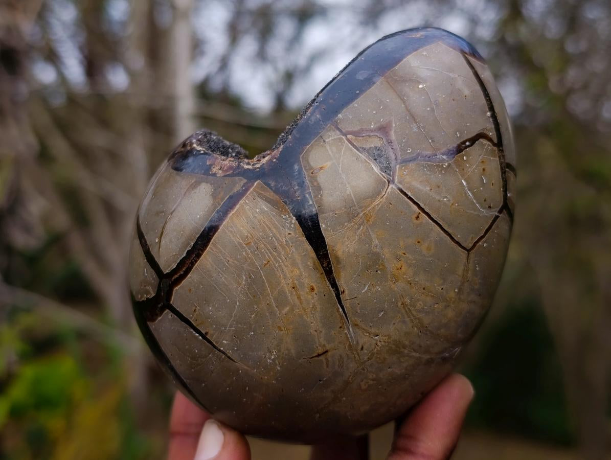Polished Septerye Sauvage "Dragons Egg" Geodes x 2 From Mahajanga, Madagascar - Toprock Gemstones and Minerals 