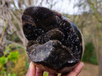 Polished Septerye Sauvage "Dragons Egg" Geodes x 2 From Mahajanga, Madagascar - Toprock Gemstones and Minerals 
