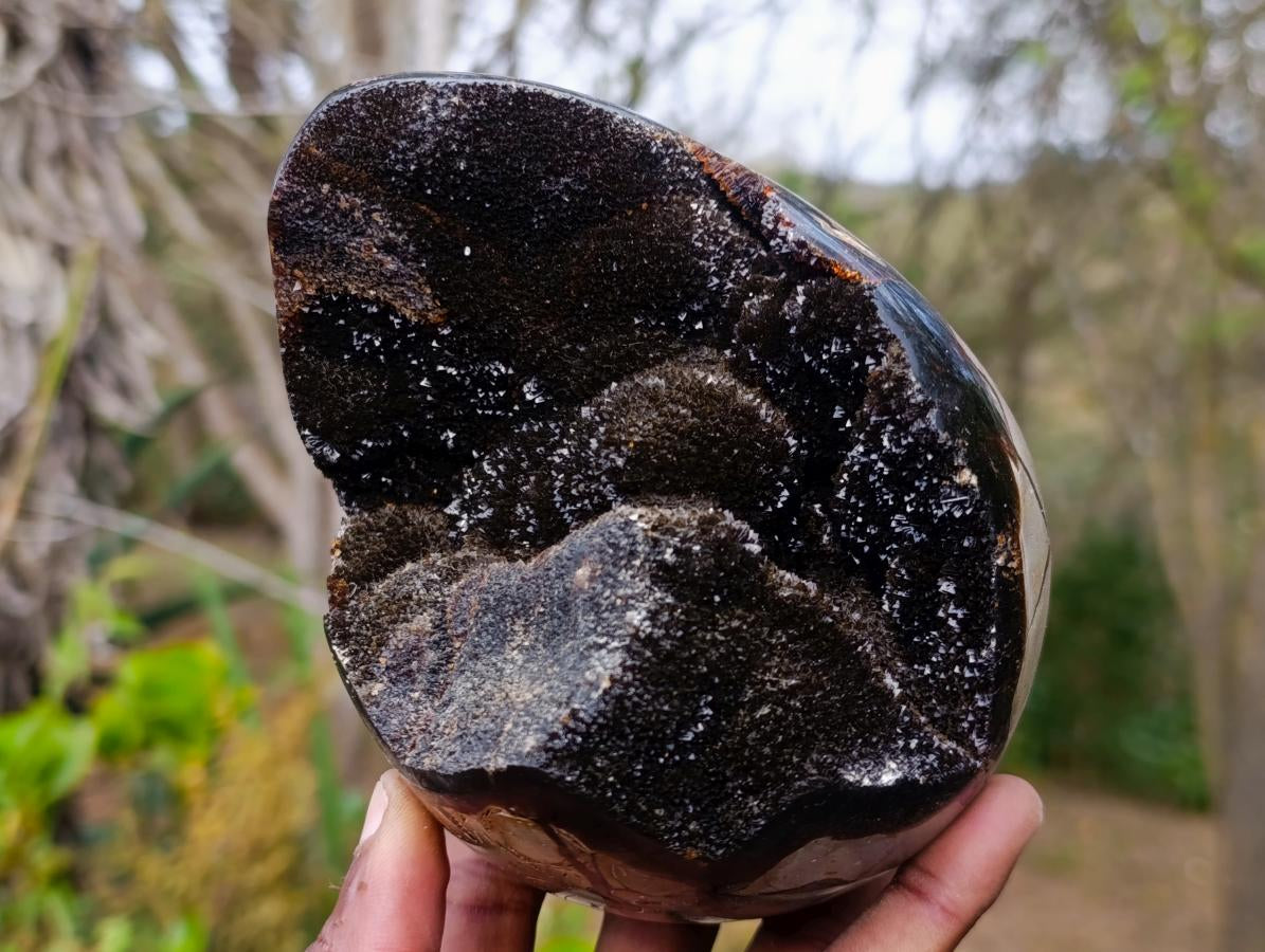 Polished Septerye Sauvage "Dragons Egg" Geodes x 2 From Mahajanga, Madagascar - Toprock Gemstones and Minerals 