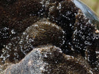 Polished Septerye Sauvage "Dragons Egg" Geodes x 2 From Mahajanga, Madagascar - Toprock Gemstones and Minerals 