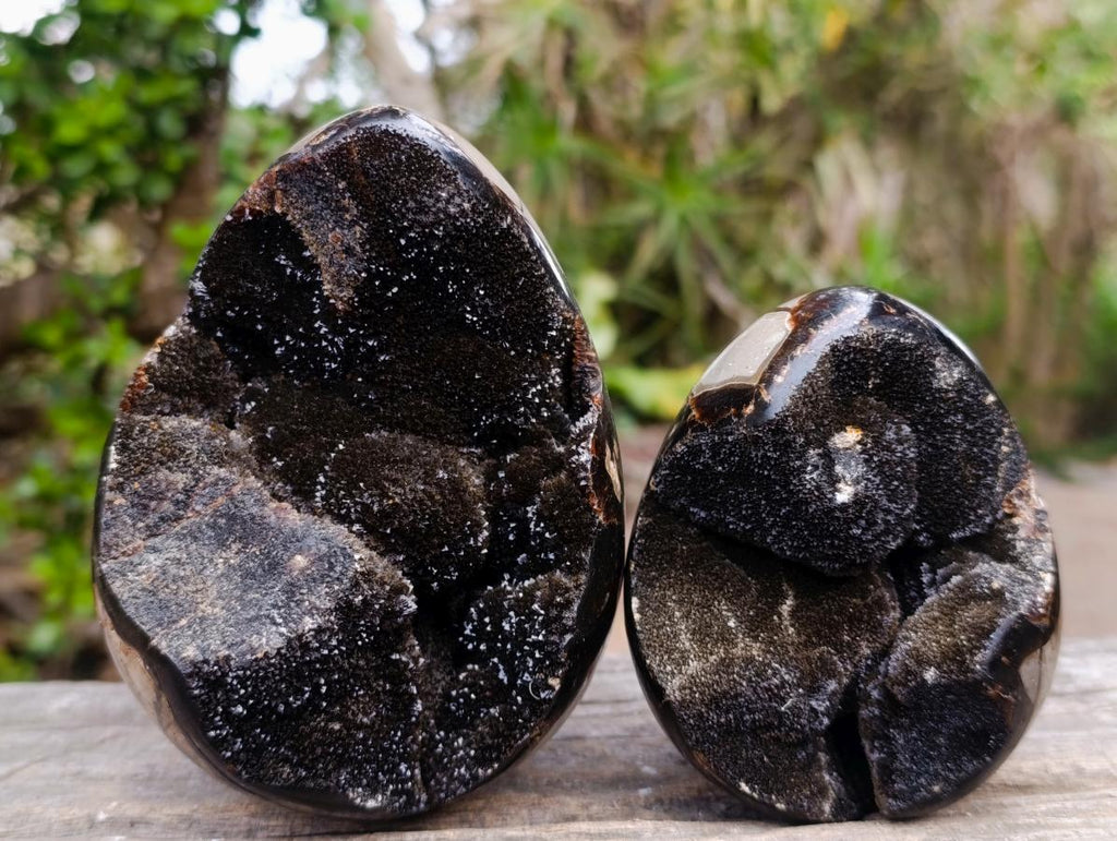 Polished Septerye Sauvage "Dragons Egg" Geodes x 2 From Mahajanga, Madagascar - Toprock Gemstones and Minerals 