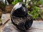 Polished Septerye Sauvage "Dragons Egg" Geodes x 2 From Mahajanga, Madagascar - Toprock Gemstones and Minerals 