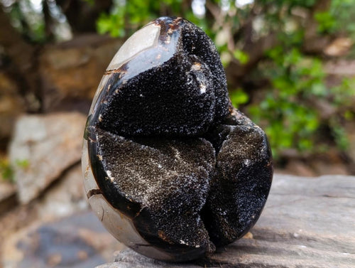 Polished Septerye Sauvage "Dragons Egg" Geodes x 2 From Mahajanga, Madagascar - Toprock Gemstones and Minerals 