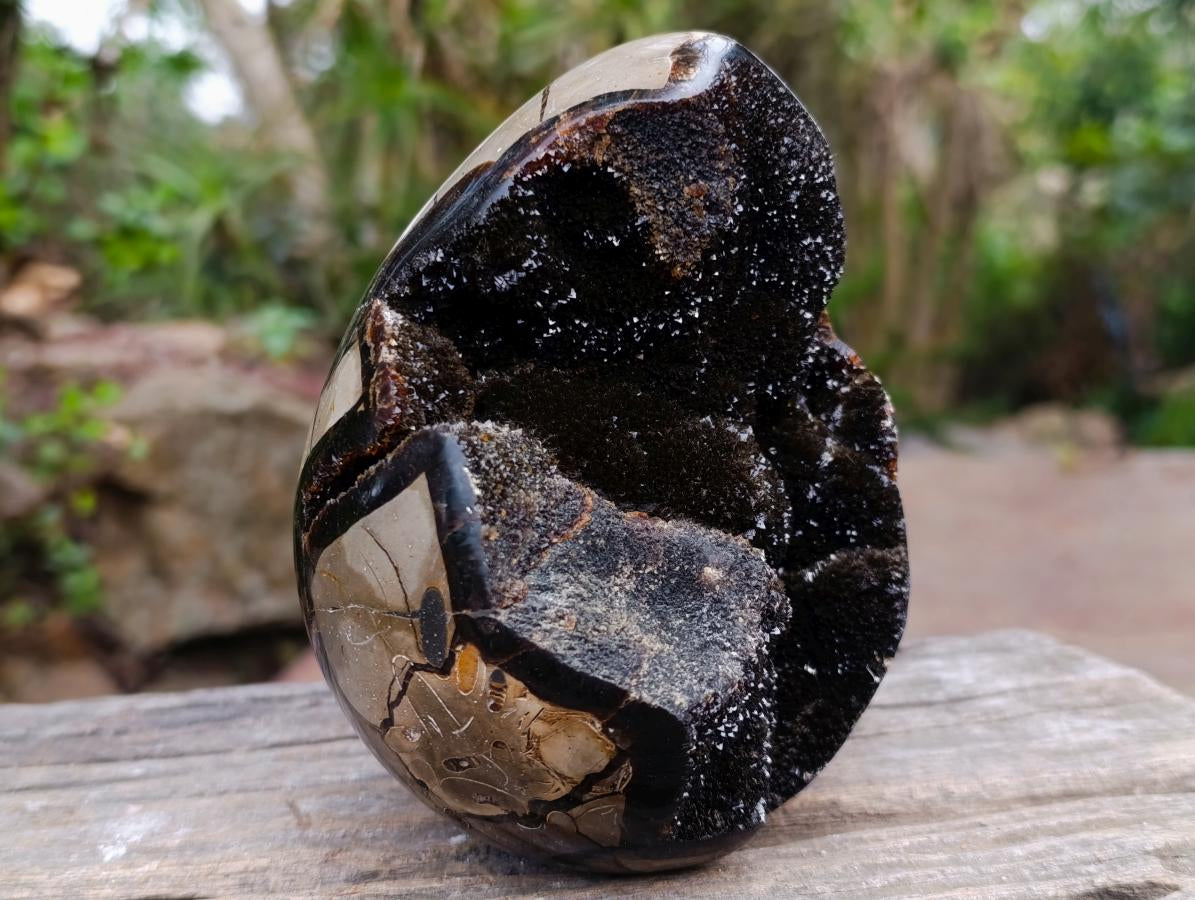 Polished Septerye Sauvage "Dragons Egg" Geodes x 2 From Mahajanga, Madagascar - Toprock Gemstones and Minerals 