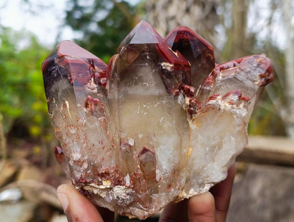 Natural Red Hematoid Quartz Crystals and Clusters x 4 From Karoi, Zimbabwe