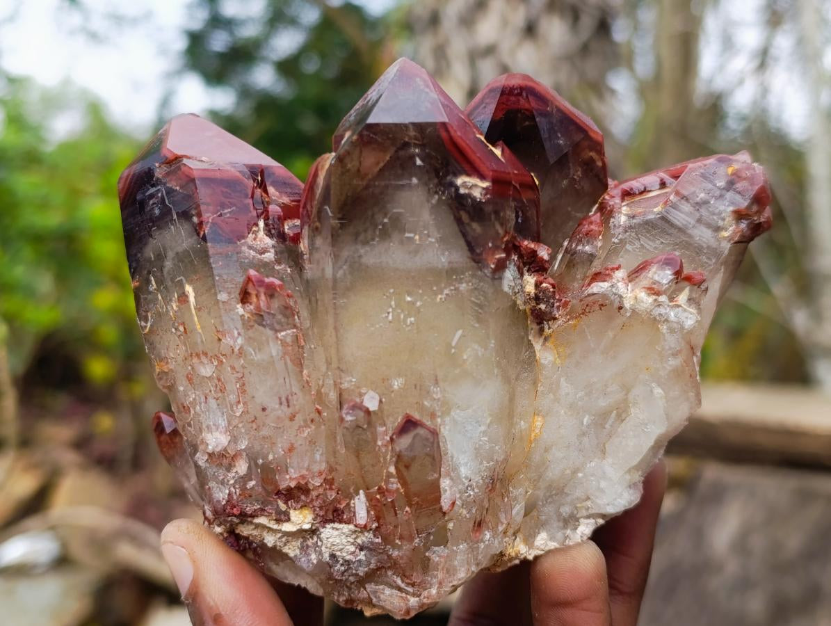 Natural Red Hematoid Quartz Crystals and Clusters x 4 From Karoi, Zimbabwe