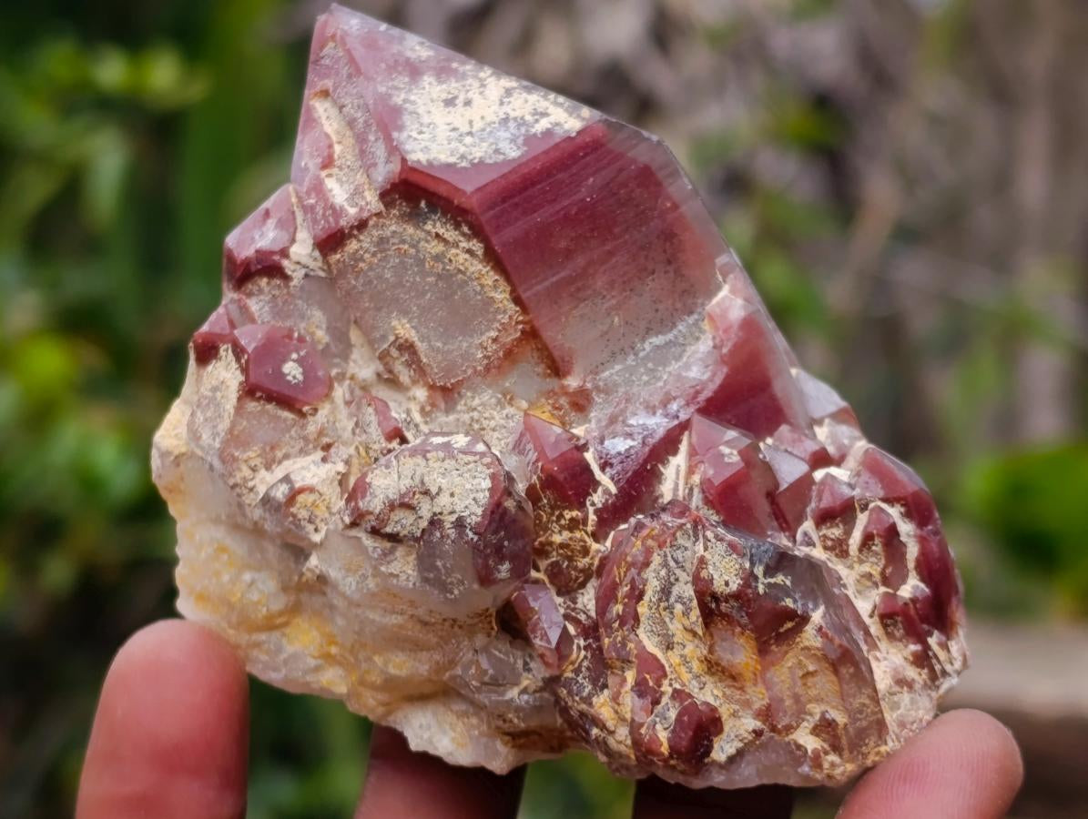 Natural Red Hematoid Quartz Crystals and Clusters x 4 From Karoi, Zimbabwe