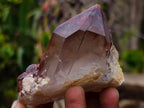 Natural Red Hematoid Quartz Crystals and Clusters x 4 From Karoi, Zimbabwe