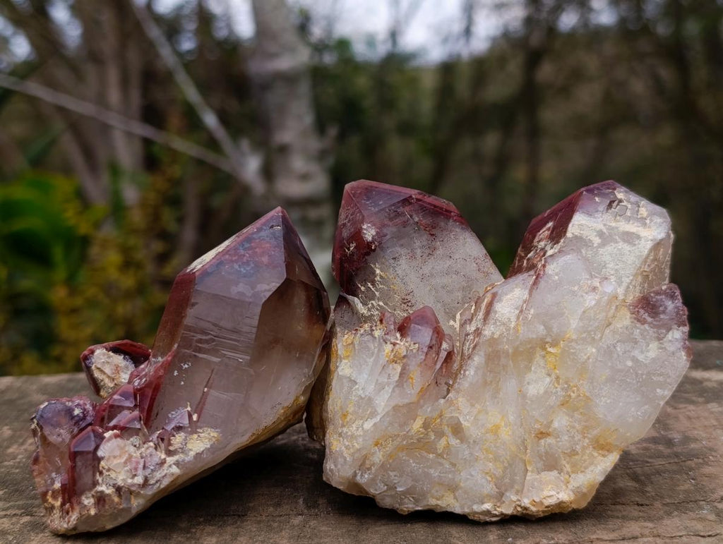 Natural Red Hematoid Quartz Crystals and Clusters x 4 From Karoi, Zimbabwe