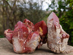 Natural Red Hematoid Quartz Crystals and Clusters x 4 From Karoi, Zimbabwe