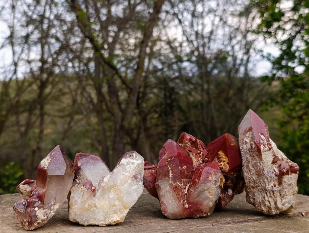 Natural Red Hematoid Quartz Crystals and Clusters x 4 From Karoi, Zimbabwe