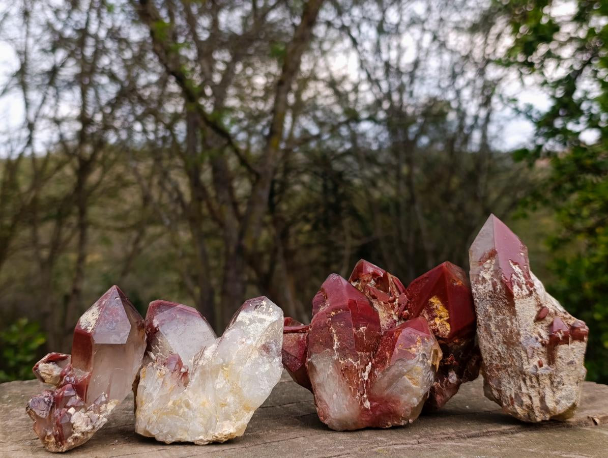 Natural Red Hematoid Quartz Crystals and Clusters x 4 From Karoi, Zimbabwe
