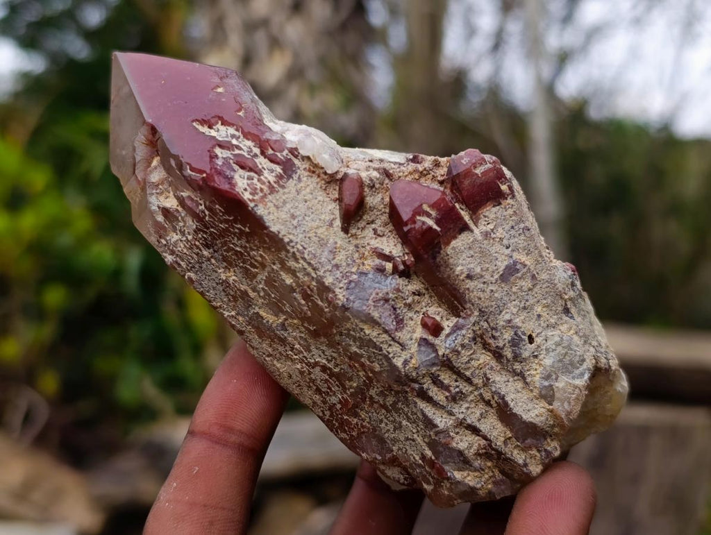 Natural Red Hematoid Quartz Crystals and Clusters x 4 From Karoi, Zimbabwe