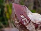 Natural Red Hematoid Quartz Crystals and Clusters x 4 From Karoi, Zimbabwe