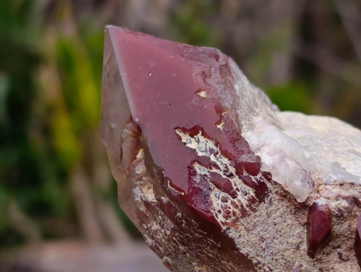 Natural Red Hematoid Quartz Crystals and Clusters x 4 From Karoi, Zimbabwe