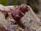 Natural Red Hematoid Quartz Crystals and Clusters x 4 From Karoi, Zimbabwe