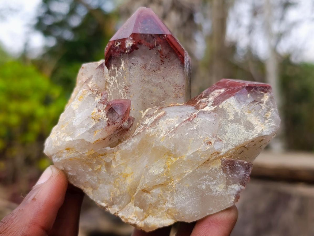Natural Red Hematoid Quartz Crystals and Clusters x 4 From Karoi, Zimbabwe