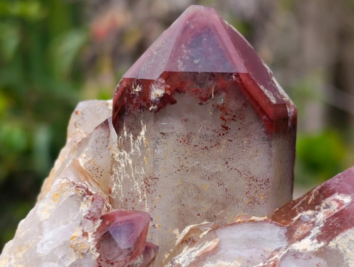 Natural Red Hematoid Quartz Crystals and Clusters x 4 From Karoi, Zimbabwe