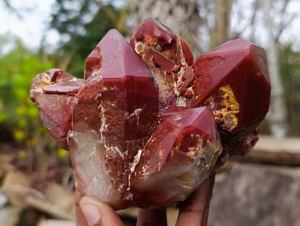 Natural Red Hematoid Quartz Crystals and Clusters x 4 From Karoi, Zimbabwe