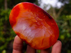 Polished Carnelian Agate Gemstone Bowls x 6 From Madagascar