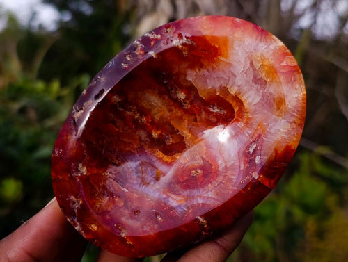 Polished Carnelian Agate Gemstone Bowls x 6 From Madagascar