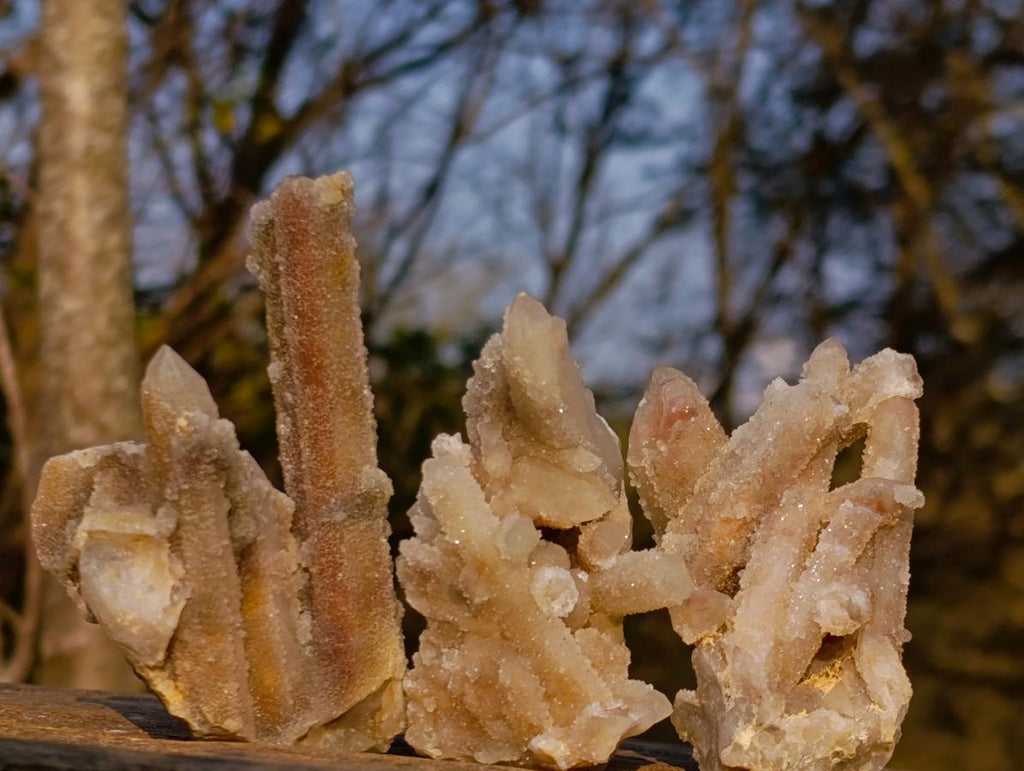 Natural Drusy Fairy Spirit Quartz Clusters x 24 From Boekenhouthoek, South Africa