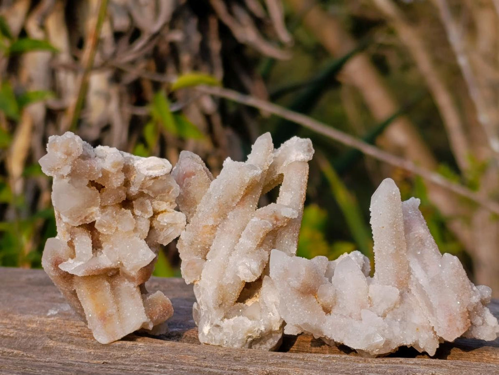 Natural Drusy Fairy Spirit Quartz Clusters x 24 From Boekenhouthoek, South Africa
