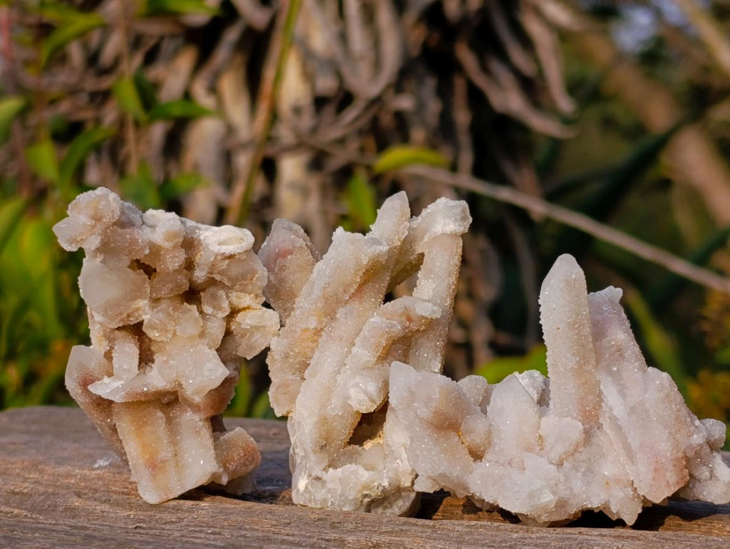 Natural Drusy Fairy Spirit Quartz Clusters x 24 From Boekenhouthoek, South Africa