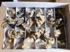 Natural Drusy Fairy Spirit Quartz Clusters x 24 From Boekenhouthoek, South Africa