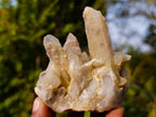 Natural Drusy Fairy Spirit Quartz Clusters x 24 From Boekenhouthoek, South Africa
