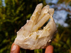 Natural Drusy Fairy Spirit Quartz Clusters x 24 From Boekenhouthoek, South Africa