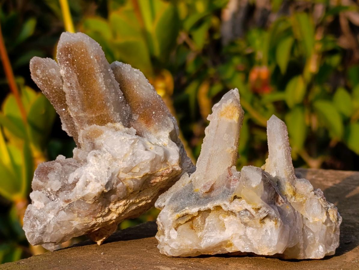 Natural Drusy Fairy Spirit Quartz Clusters x 24 From Boekenhouthoek, South Africa