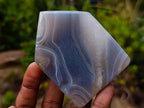 Polished Banded Agate Crystal Shaped Slices x 12 From Madagascar