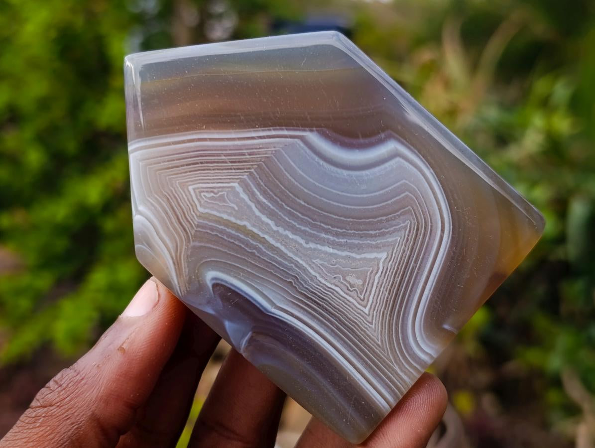 Polished Banded Agate Crystal Shaped Slices x 12 From Madagascar