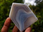 Polished Banded Agate Crystal Shaped Slices x 12 From Madagascar