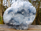 Polished and Natural Large Blue Celestite Heart x 1 From Sakoany, Madagascar